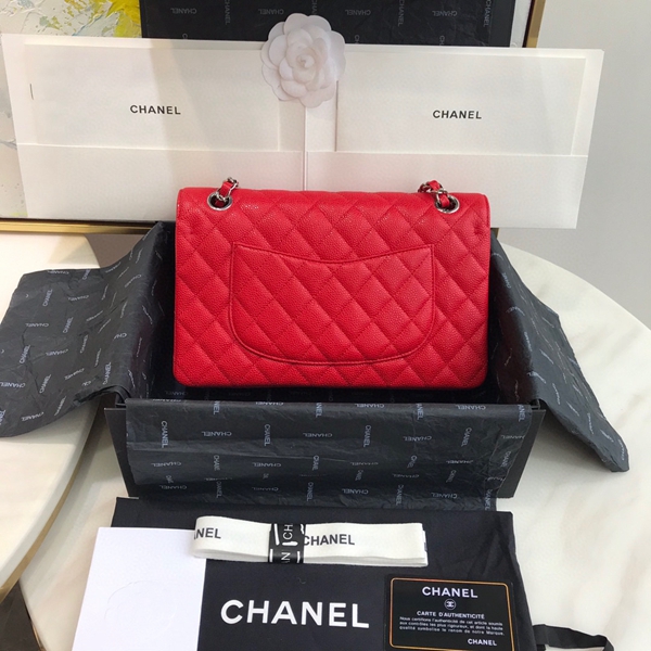シャネルバッグレプリカ背面デザイン